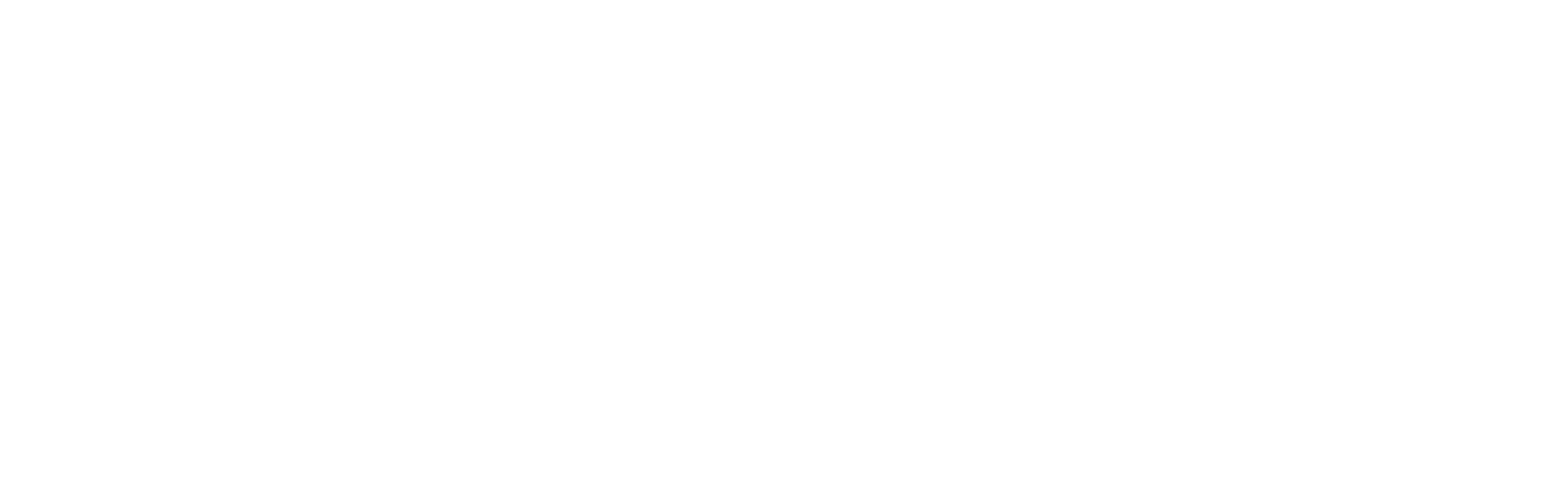 Logo Open State Foundation